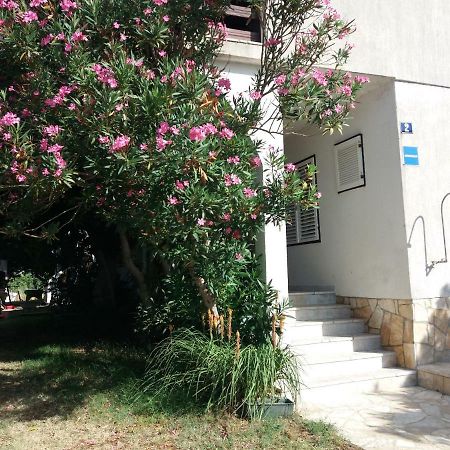Apartman Nona Povljana Kültér fotó