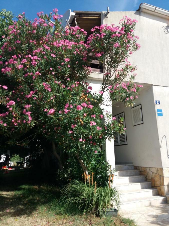 Apartman Nona Povljana Kültér fotó