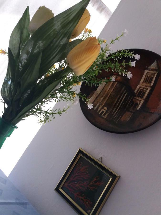 Apartman Nona Povljana Kültér fotó